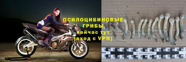 СК Нягань