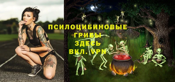трава Новодвинск