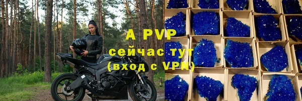 трава Новодвинск